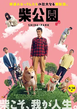 胸大的姑娘中文