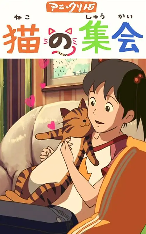 国产伦理视频