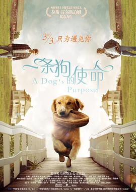 亚洲午夜剧场