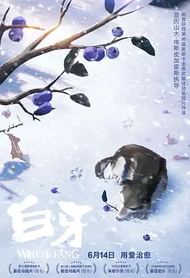 亚洲高清不卡
