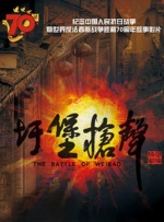 久久久久久综合对白国产
