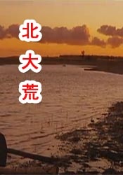 爱情电影12