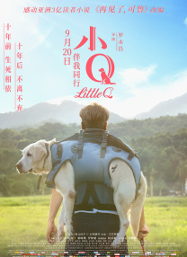 久久精品视频免费播放